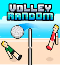 Volleyball Random