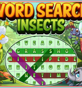 Word Insects
